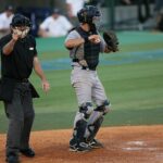 Home plate umpire signaling a ball-strike call during a baseball game.