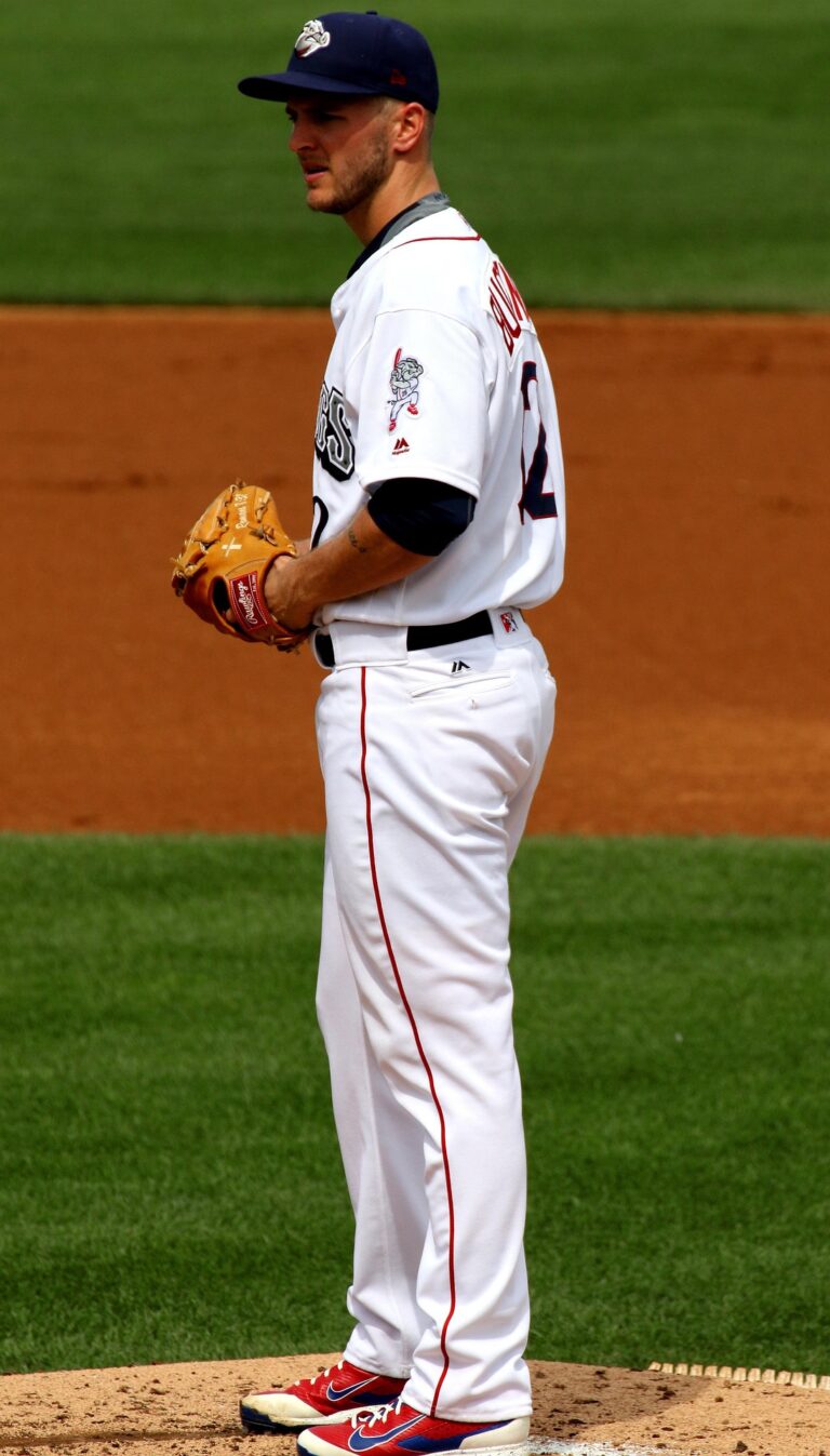 barbeeanne-pitcher-2490046_1920