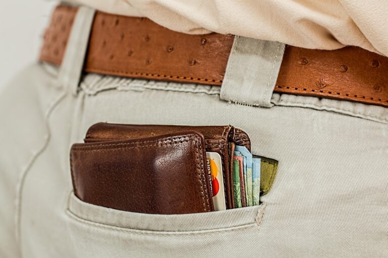 stevepb-wallet-1013789_1920