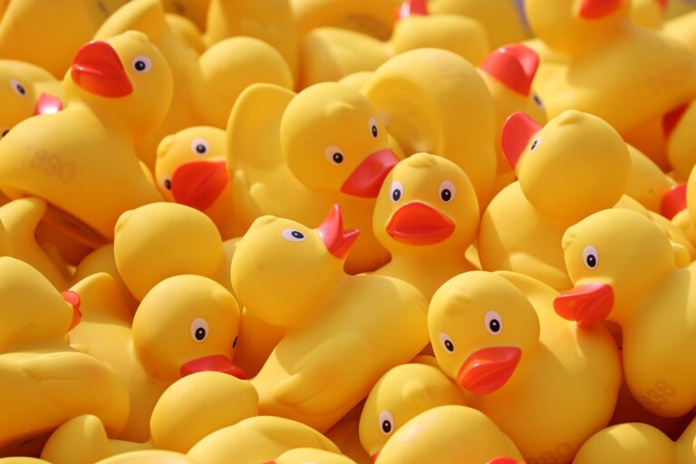 quick-quack-astros-official-carwash-2026