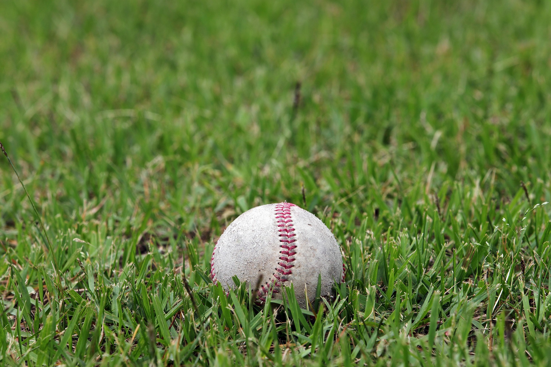 A single baseball rests alone in a field of grass.