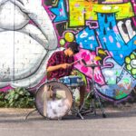 A musician performs in front of a brightly colored wall mural.