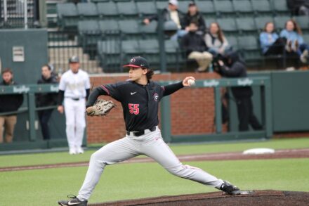 A baseball pitcher pulls back before releasing the pitch.