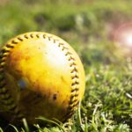 A baseball, yellowed with age and exposure, lies amidst the grass.