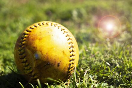 A baseball, yellowed with age and exposure, lies amidst the grass.