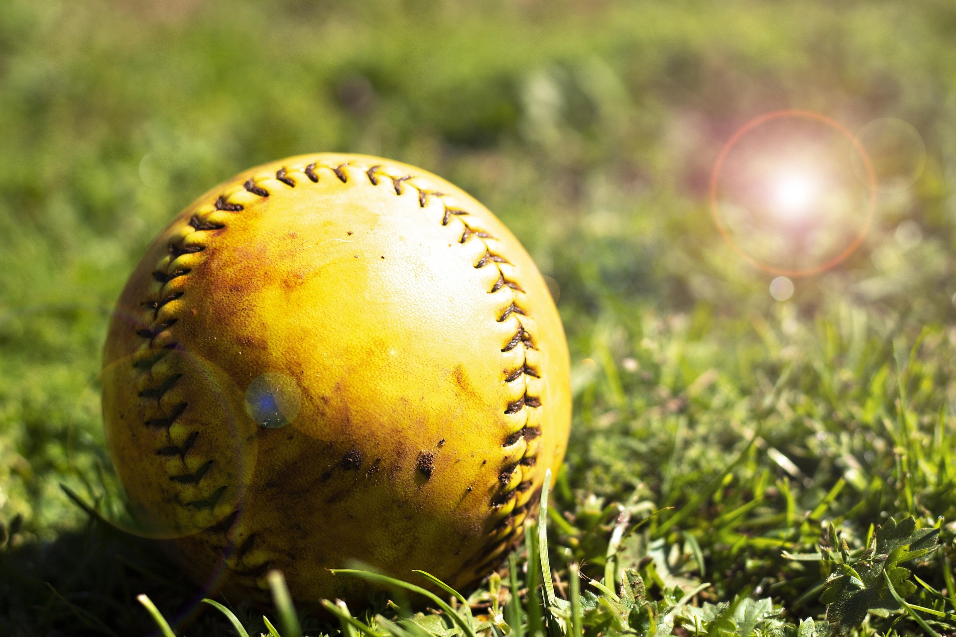 A baseball, yellowed with age and exposure, lies amidst the grass.