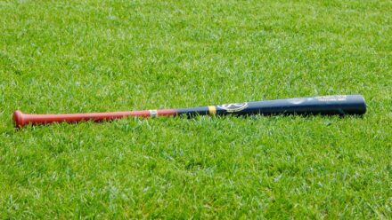 A baseball bat lays on the green grass of a field.
