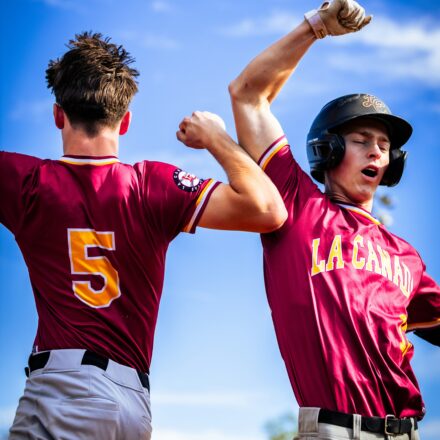 Two baseball players raise their arms triumphantly.