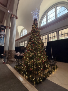 A large, decorated Christmas tree lights up Daikin Park.