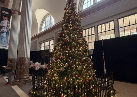 A large, decorated Christmas tree lights up Daikin Park.