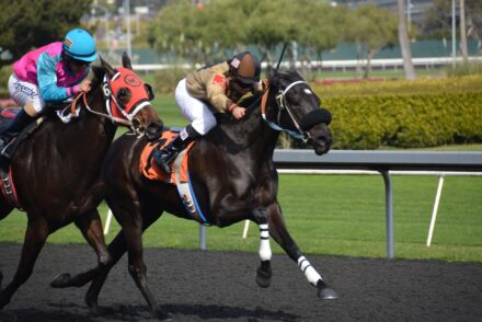 Racehorses are running toward the finish line on a racetrack.