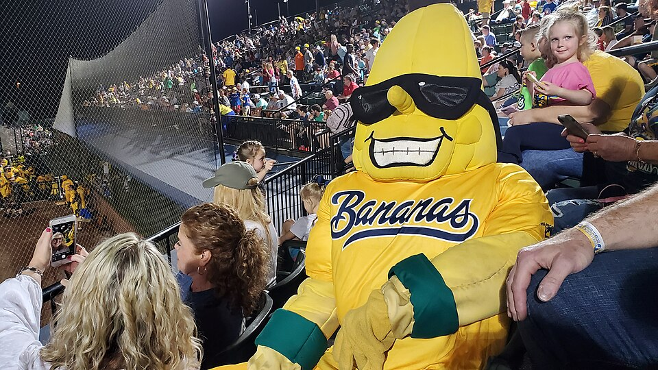 Split, the Savannah Bananas' yellow banana mascot, poses with fans in the stands at a baseball game.